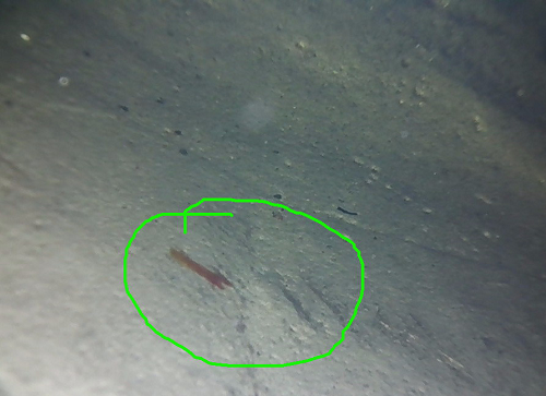 視頻內(nèi)窺鏡具有哪些特點？